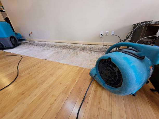 Professional Burst Pipe Water Damage technician working in San Juan Capistrano, CA